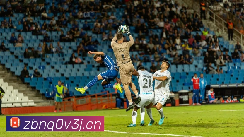 米兰app体育登录官网APP 高清赛事图